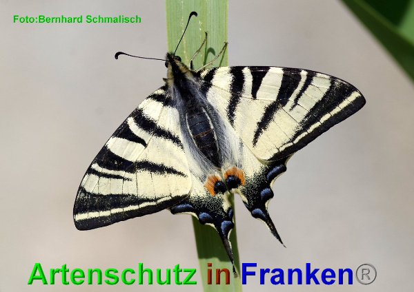 Copyright AiF / Bernhard Schmalisch Bild zum Eintrag (98167-160)