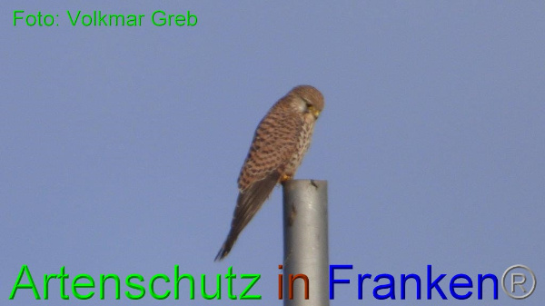 Bild zum Eintrag (98502-160)