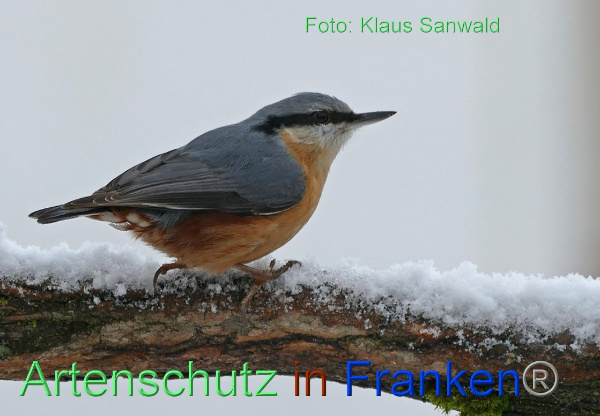 Copyright AiF - Klaus Sanwald Bild zum Eintrag (98560-160)
