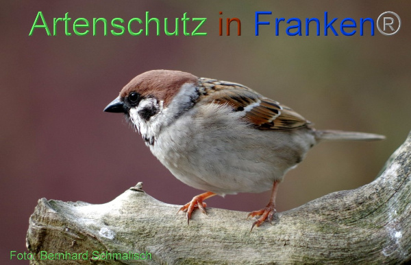 Copyright AiF / Bernhard Schmalisch Bild zum Eintrag (98661-160)