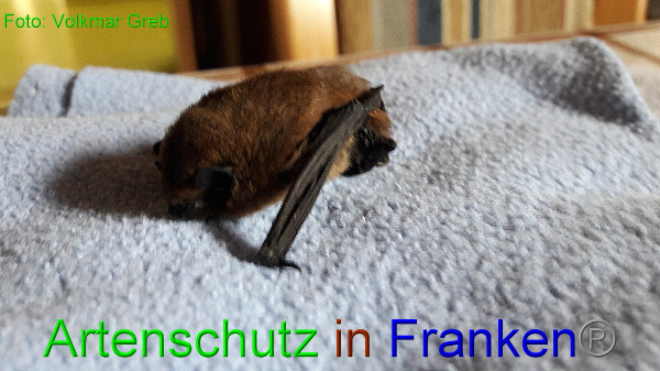 Copyright AiF - Bild zum Eintrag (98734-160)