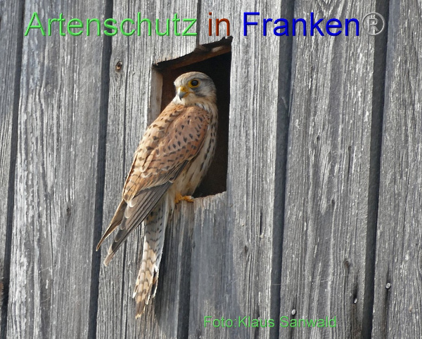 Copyright AiF - Klaus Sanwald Bild zum Eintrag (99054-160)