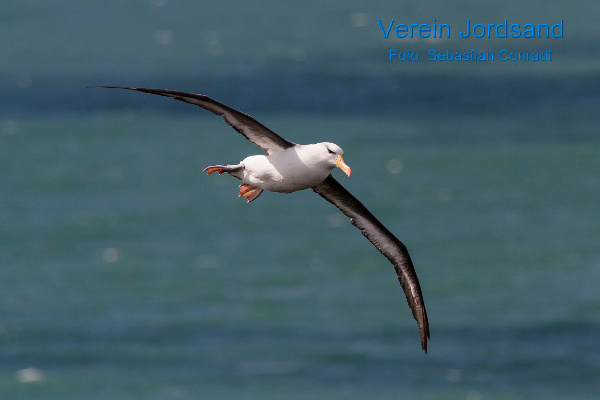 Copyright AiF / Verein Jordsand Foto: Sebastian Conradt Bild zum Eintrag (99121-160)