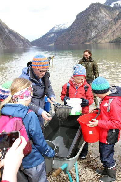 Copyright AiF / Nationalparkverwaltung Berchtesgaden Bild zum Eintrag (99263-160)