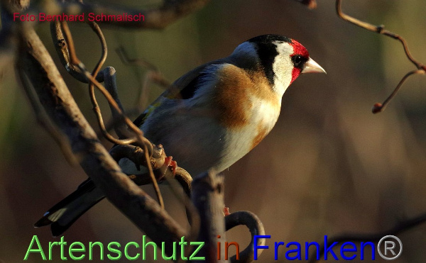Copyright AiF / Bernhard Schmalisch Bild zum Eintrag (99295-160)