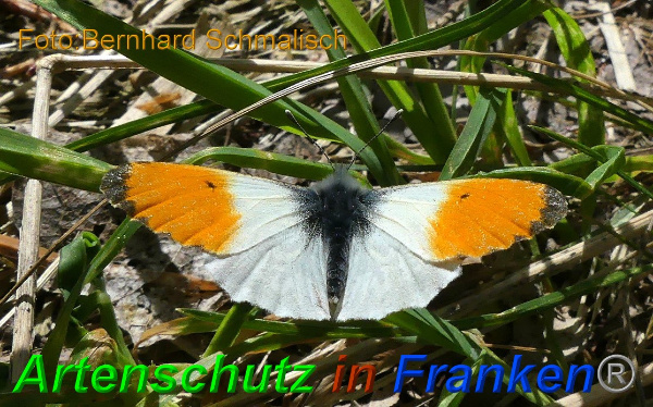 Copyright AiF / Bernhard Schmalisch Bild zum Eintrag (99525-160)