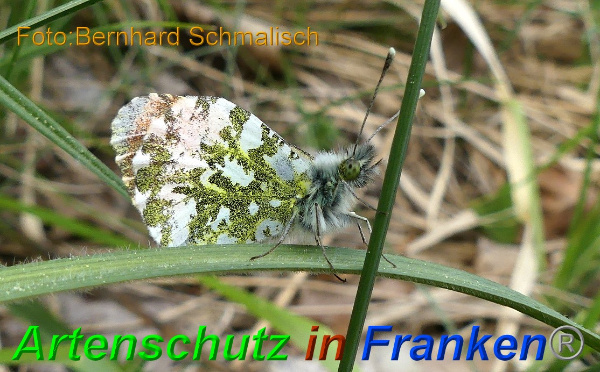 Copyright AiF / Bernhard Schmalisch Bild zum Eintrag (99527-160)