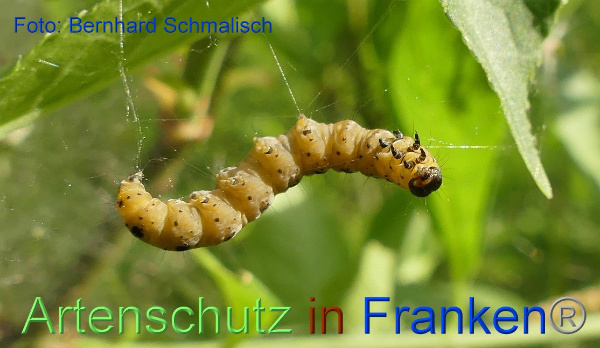 Copyright AiF / Bernhard Schmalisch Bild zum Eintrag (99686-160)