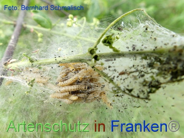 Copyright AiF / Bernhard Schmalisch Bild zum Eintrag (99687-160)