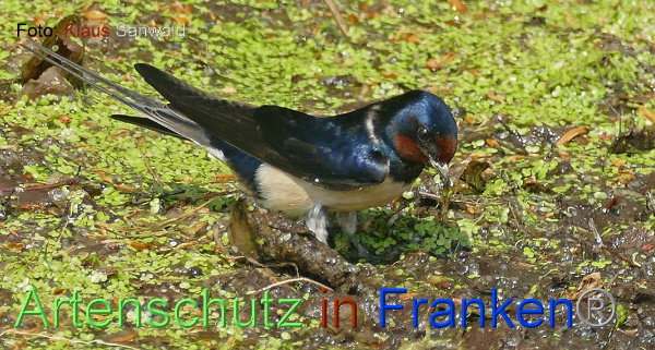Copyright AiF - Klaus Sanwald Bild zum Eintrag (99787-160)