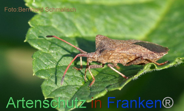 Copyright AiF / Bernhard Schmalisch Bild zum Eintrag (99801-160)