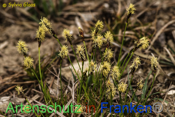 Bild zum Eintrag (101209-160)