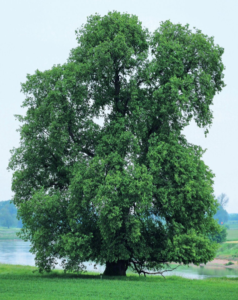 Copyright AiF / Foto: A. Roloff Bild zum Eintrag (102494-160)