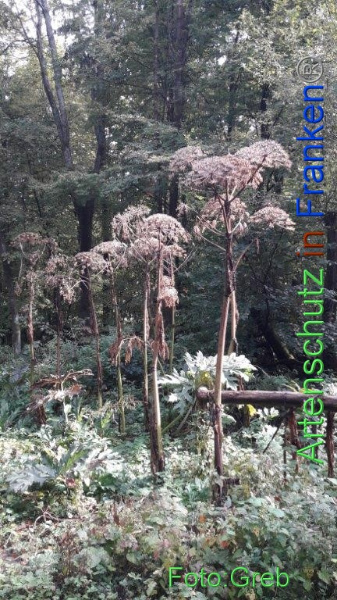 Copyright AiF / Volkmar Greb Bild zum Eintrag (1028358-160)