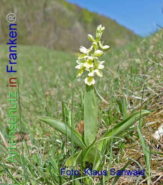 Copyright AiF - Klaus Sanwald Bild zum Eintrag (1119425-160)
