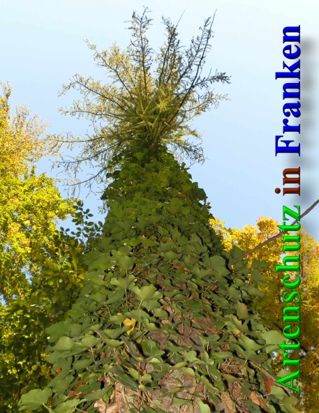 Bild zum Eintrag (1131253-160)