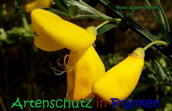 Bild zum Eintrag (1131555-160)