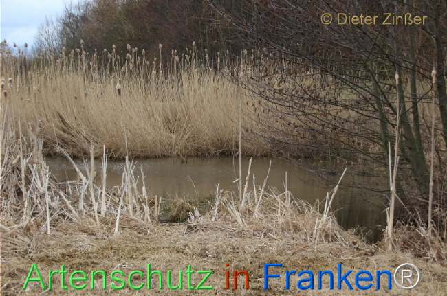 Bild zum Eintrag (1135102-160)