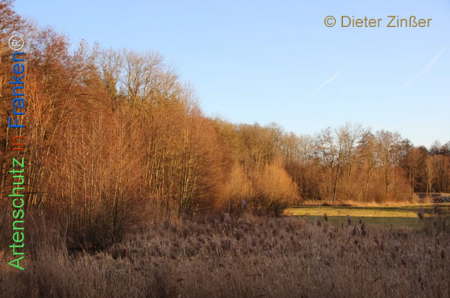 Bild zum Eintrag (1135112-160)