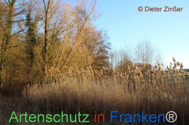 Bild zum Eintrag (1135114-160)