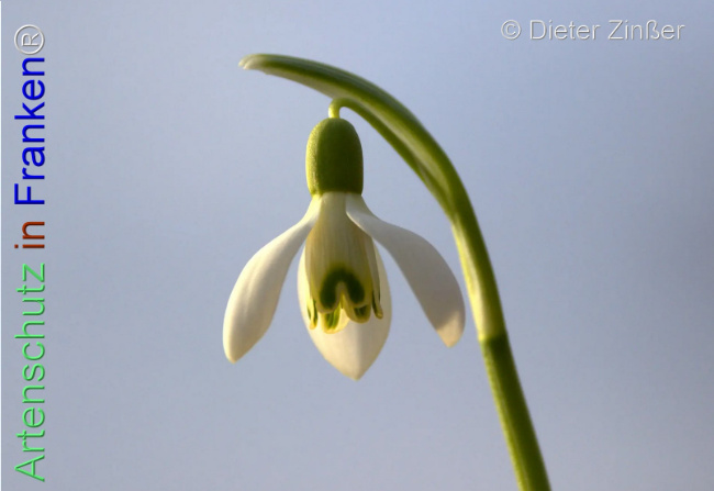 Bild zum Eintrag (1137731-160)