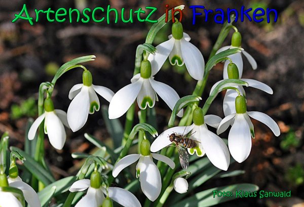 Bild zum Eintrag (1137746-160)