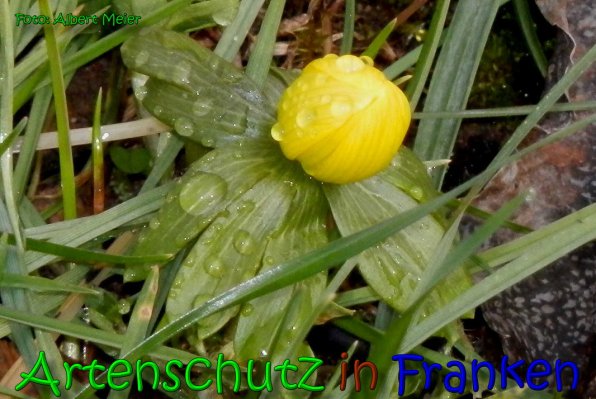 Bild zum Eintrag (1137807-160)