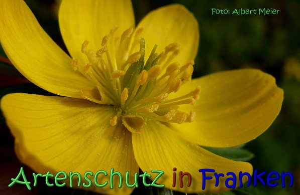 Bild zum Eintrag (1137809-160)