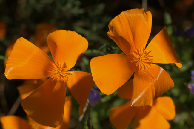 Bild zum Eintrag (1138729-160)
