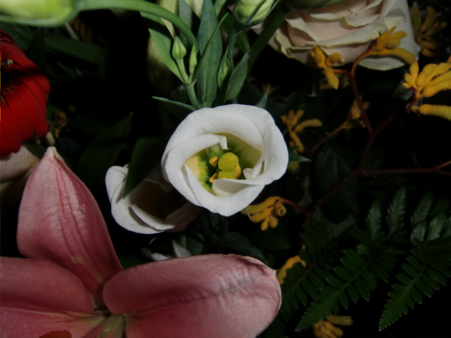 Bild zum Eintrag (1138741-160)