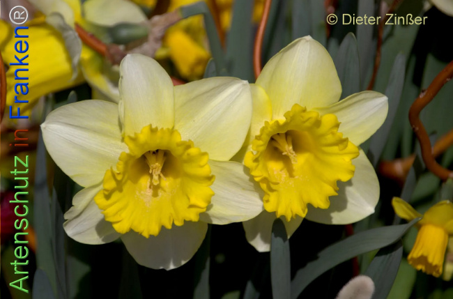 Bild zum Eintrag (1138890-160)