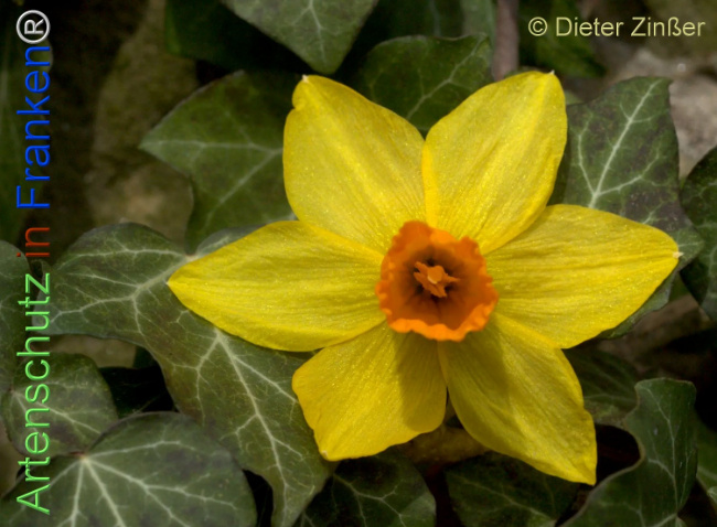 Bild zum Eintrag (1138902-160)