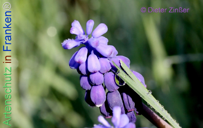 Bild zum Eintrag (1140248-160)