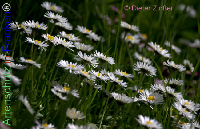 Bild zum Eintrag (1140395-160)