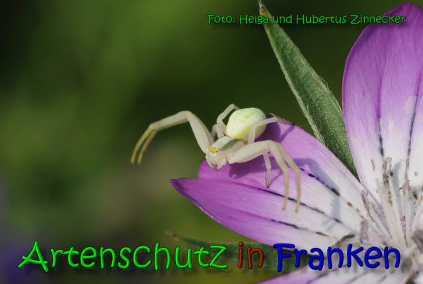 Bild zum Eintrag (1140494-160)