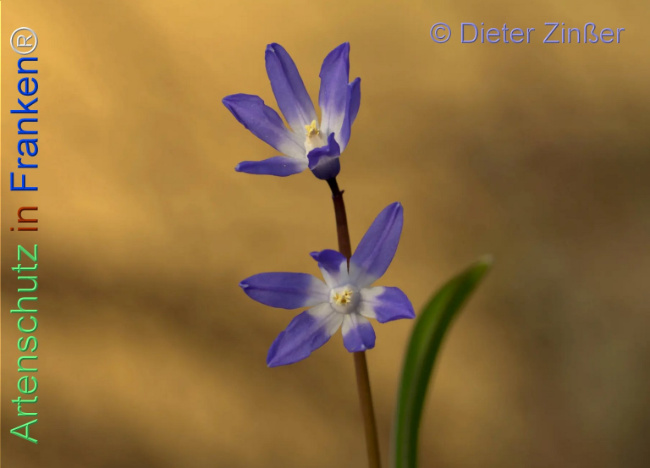 Bild zum Eintrag (1140533-160)