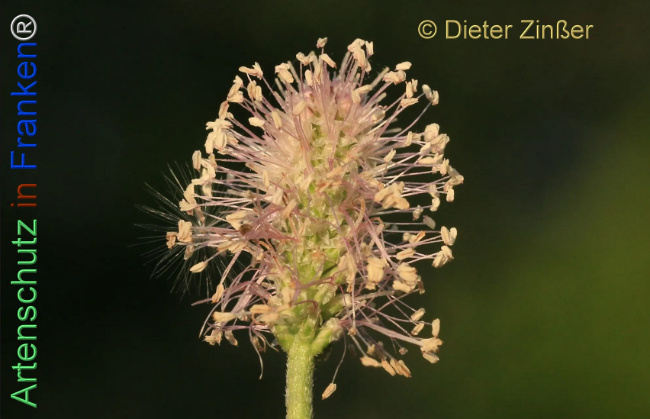 Bild zum Eintrag (1140580-160)
