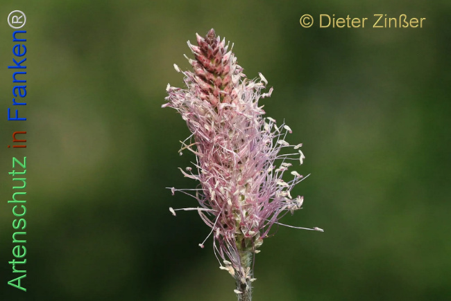 Bild zum Eintrag (1140582-160)