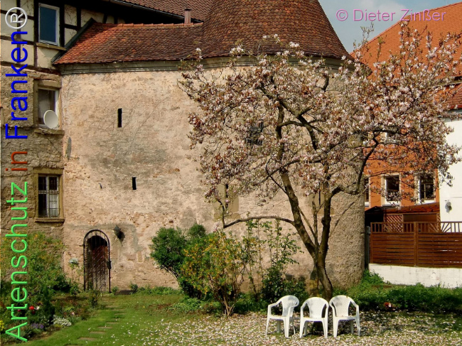 Bild zum Eintrag (1141280-160)