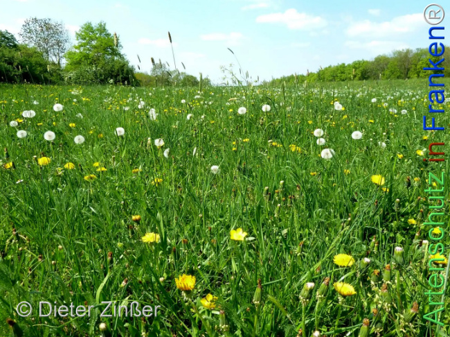 Bild zum Eintrag (1142751-160)