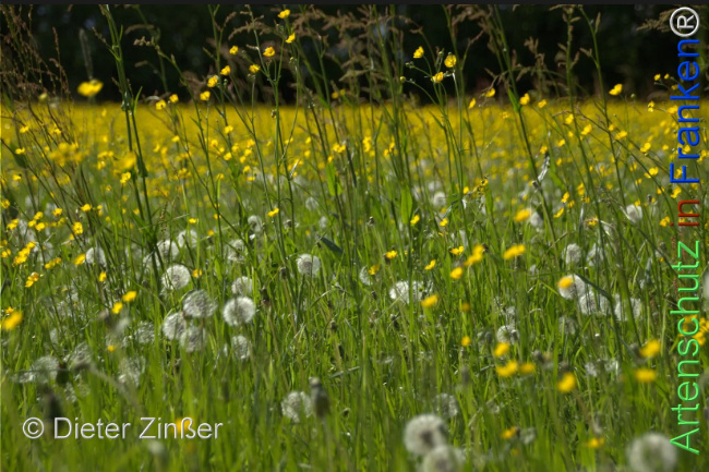 Bild zum Eintrag (1142752-160)