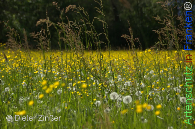 Bild zum Eintrag (1142753-160)