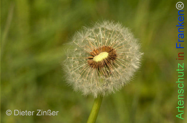 Bild zum Eintrag (1142761-160)