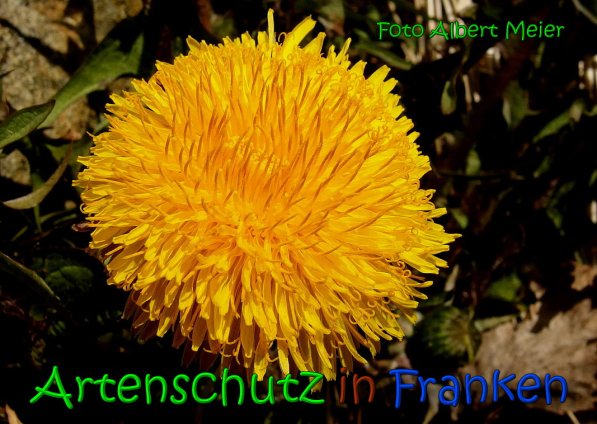 Bild zum Eintrag (1142774-160)