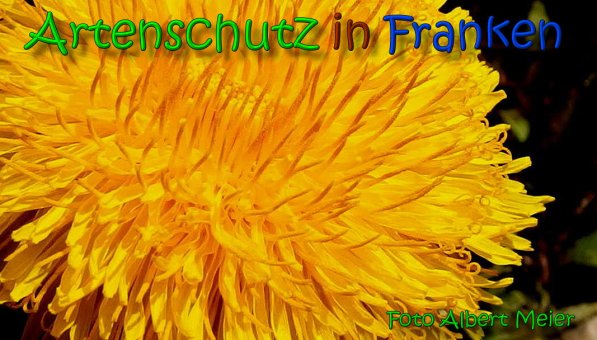 Bild zum Eintrag (1142775-160)