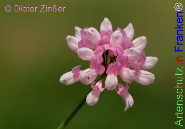 Bild zum Eintrag (1143252-160)