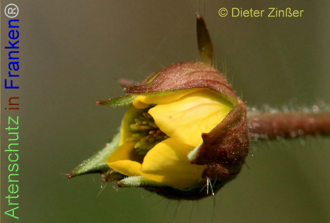 Bild zum Eintrag (1143292-160)