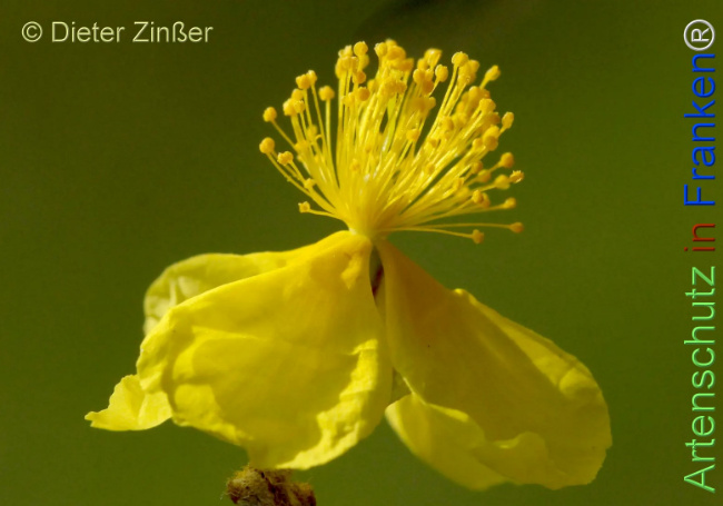Bild zum Eintrag (1143403-160)