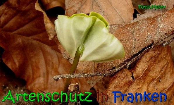 Bild zum Eintrag (1143507-160)