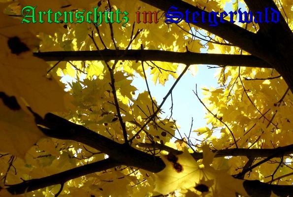 Bild zum Eintrag (1144460-160)